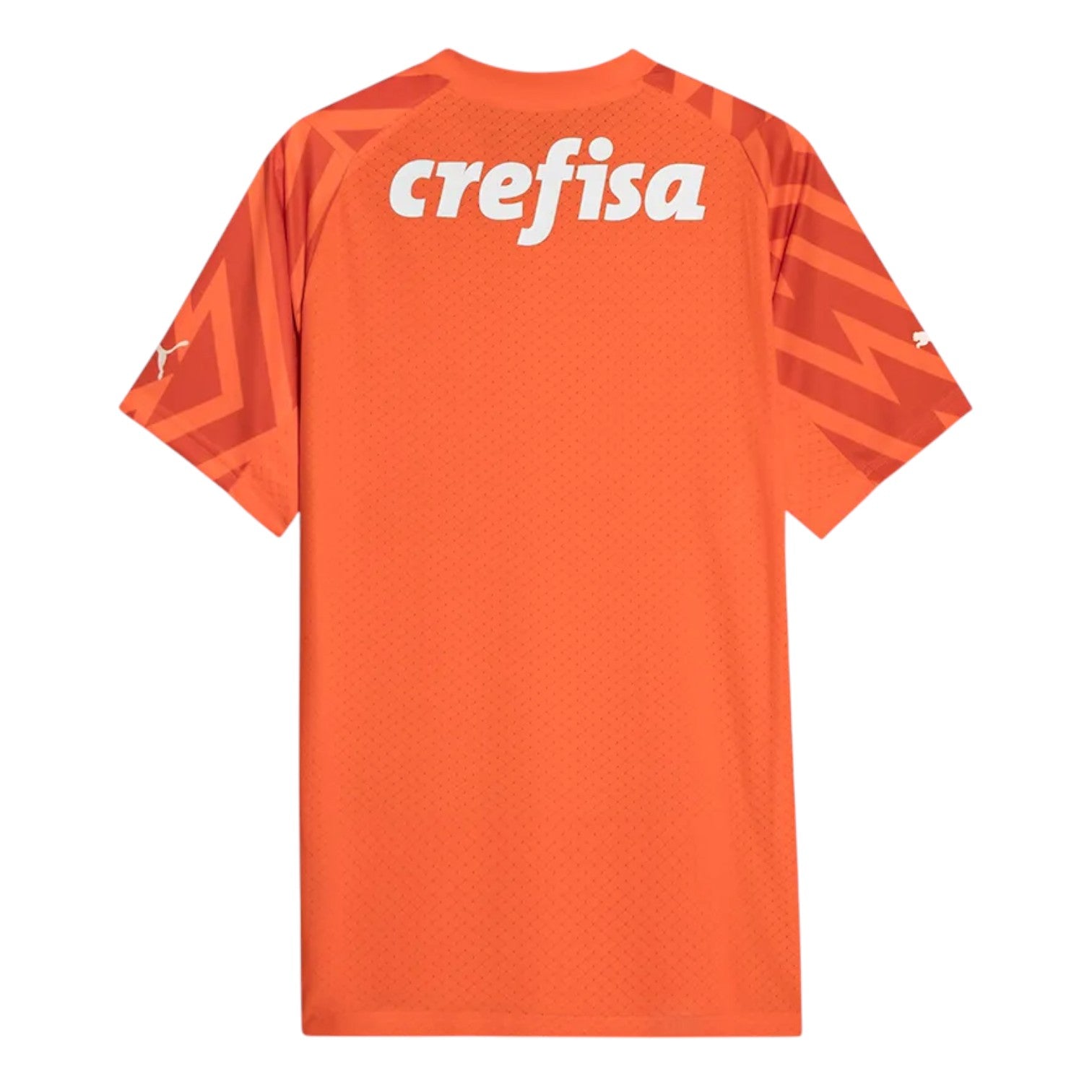 Palmeiras Portero I Camiseta 2024/2025