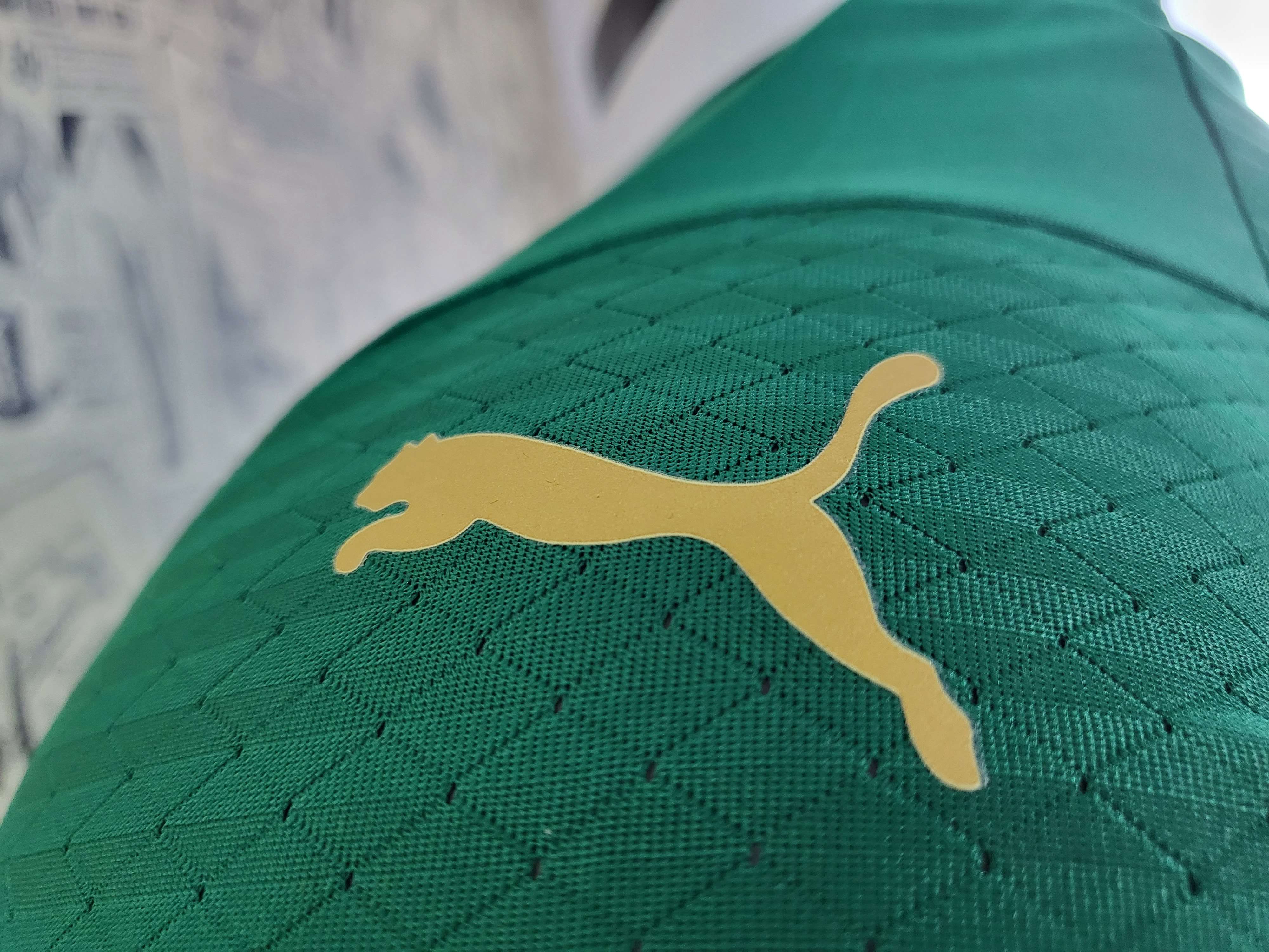 Palmeiras Jugador Titular Camiseta 2024/2025