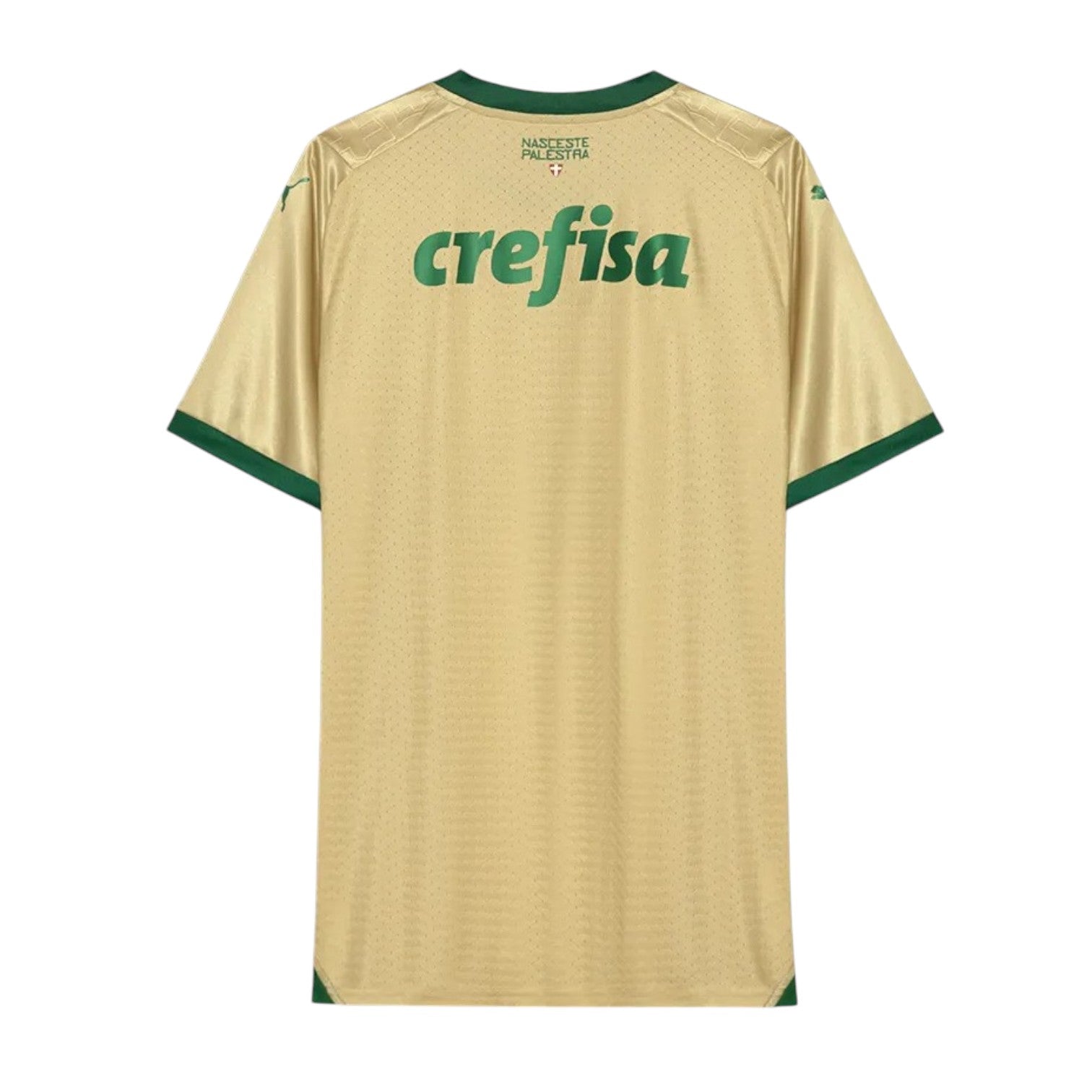 Palmeiras Jugador Tercera Camiseta 2024/2025